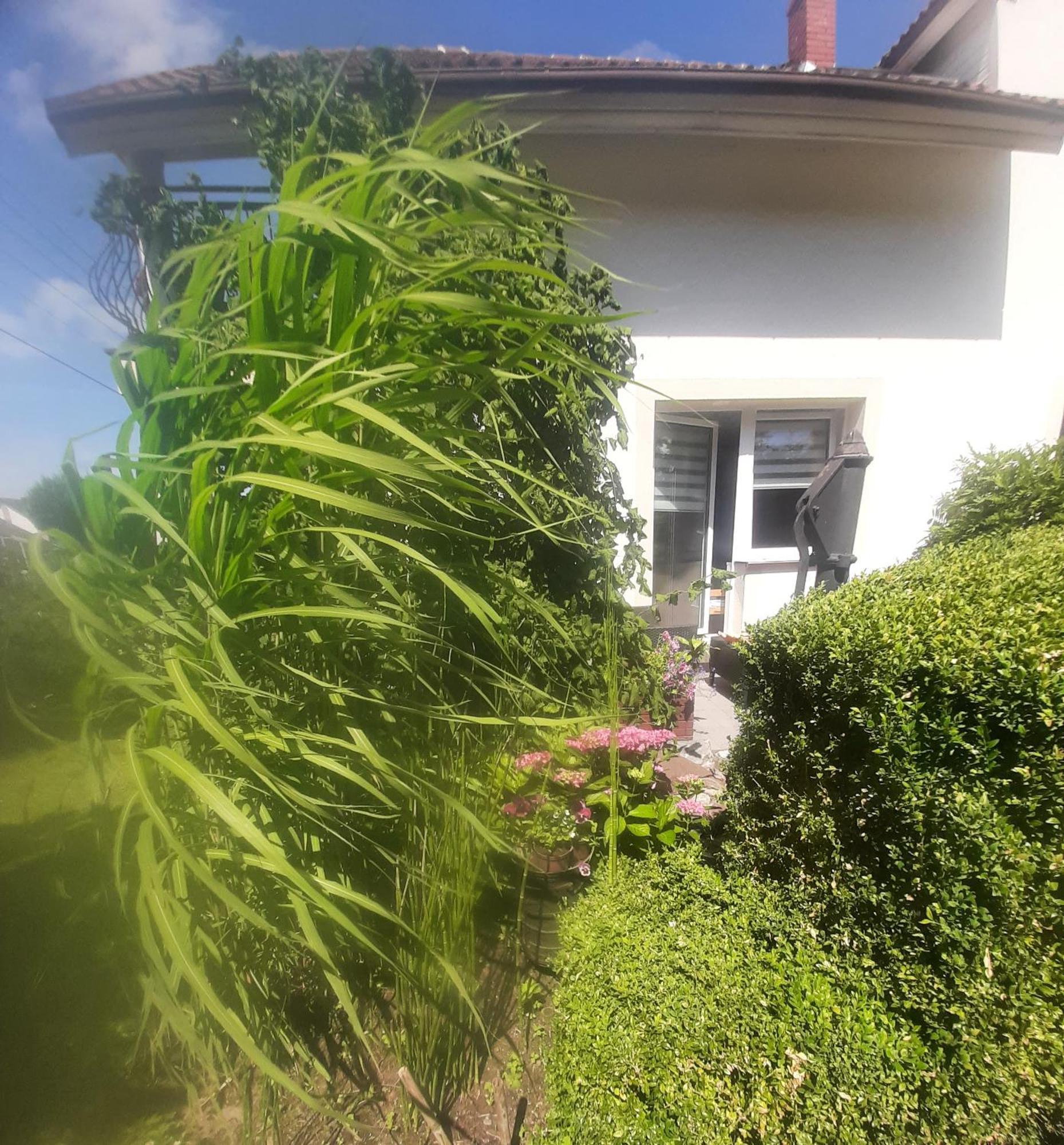 Pokoje Goscinne Cuma Łeba Kamer foto